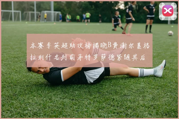 本赛季英超助攻榜揭晓B费谢尔基格拉利什名列前茅特罗萨德紧随其后